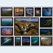 Center Collage Samples