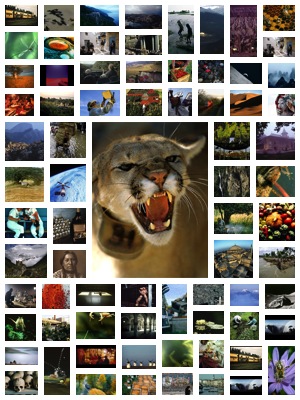 pearl mountain picture collage maker free download