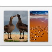 Review: CollageIt Pro Software Review: CollageIt Pro Software
