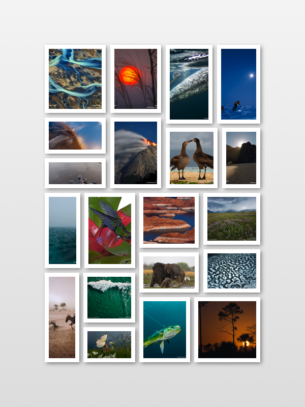 Free Photo Grid Collage Maker For Mac Os X Windows Collageit